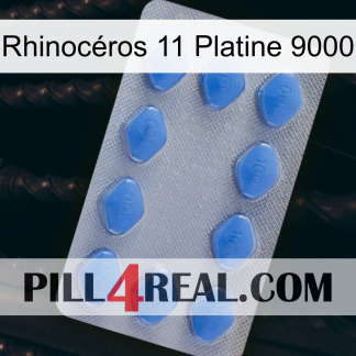 Rhinocéros 11 Platine 9000 21